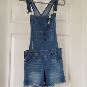 Wild Blue Overalls